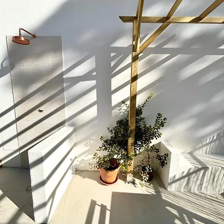 Pine & Apple House Colares